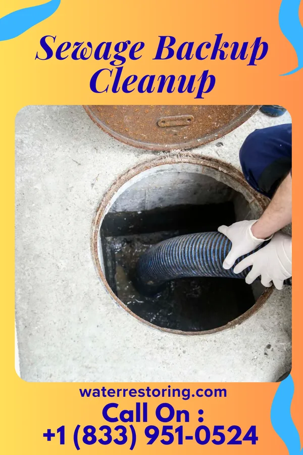 Sewage Backup Cleanup in Oelrichs, SD